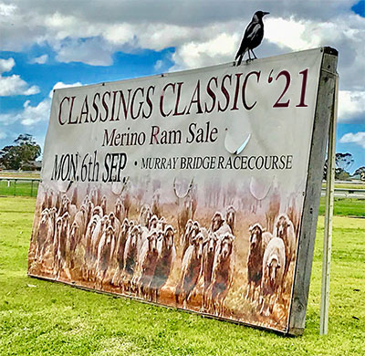 Classings Classic 2021